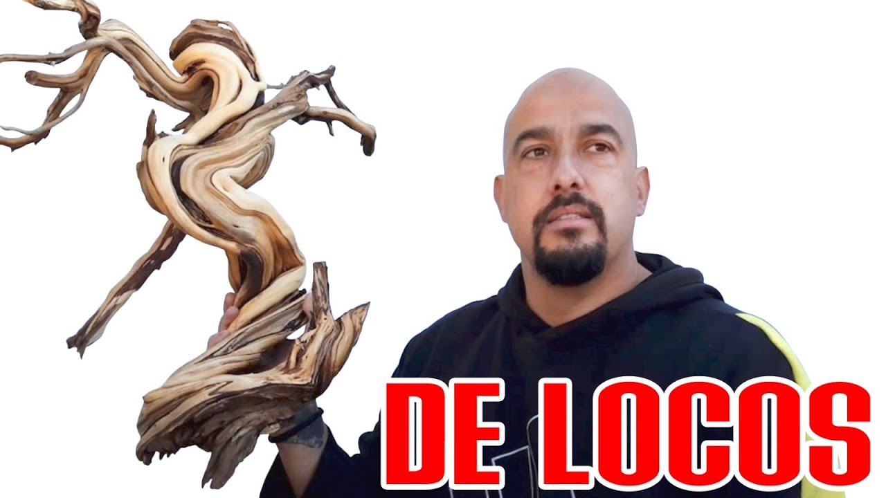 Decidiendo el frente en madera de Tanuki BONSAI