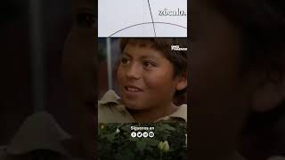 La tierna entrevista que Cristina Pacheco le hizo a un niño que soñaba con tener un campo de rosas