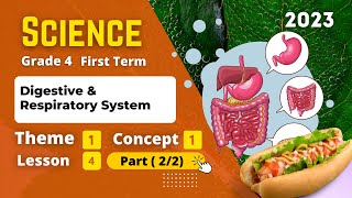 Grade 4 | Science | Unit 1 - Concept 1 - Lesson 4 - Part (2/2) | Digestive & Respiratory System