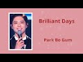 (Lyric:Transliteração/Tradução:Português-BR/Inglês) Park Bo Gum  -  Brilliant Days