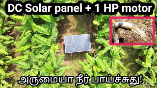1 HP மோட்டாரில் இவ்வளவு தண்ணீரா?  இனி மின்சாரம் தேவையில்லை ! | DC Solar Panel & 1 HP motor