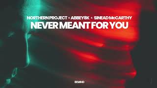 Watch Northern Project Never Meant For You video
