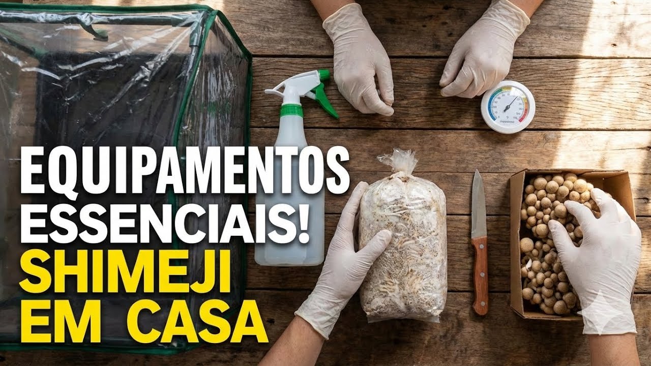 Equipamentos para usar no Cultivo de Cogumelos Caseiro