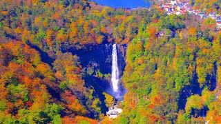 4K映像 絶景紅葉「奥日光の紅葉 華厳の滝 明智平ロープウェイ展望台」男体山 中禅寺湖 いろは坂 autumn leaves japan 美しい四季 秋 栃木県日光市 10月下旬 自然風景 8K撮影