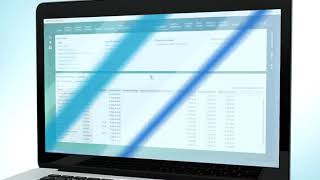 cash and liquidity management with sap business bydesign screenshot 4