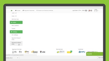Como exportar o CSV de estoque e produtos?