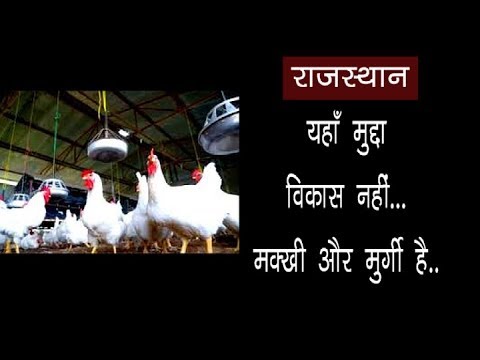 राजस्थान : यहाँ मुद्दा विकास नहीं, मक्खी और मुर्गी है ll Jantar Mantar Live