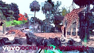 Peacocks From Andromeda  Zoo Song   