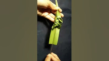 How to make a grasshopper with coconut leaves #shorts