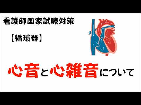 【看護師国家試験】心音と心雑音について（心臓の解剖生理）