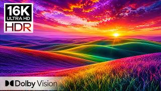 THE MOST VIBRANT OLED TEST EVER | 16K HDR Dolby Vision (8K/4K TV Video)