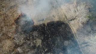Пожар в Дубках 24.04.22