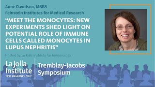 Potential role of monocytes in lupus nephritis - Anne Davidson, MBBS Wealth