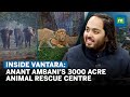 Inside vantara anant mukesh ambanis 3000 acre animal rescue  rehabilitation centre  interview