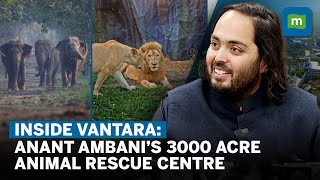 Inside Vantara: Anant Mukesh Ambani’s 3000 Acre Animal Rescue \& Rehabilitation Centre | Interview