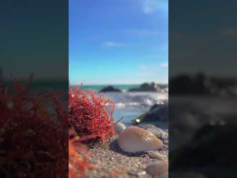 красивое видео,море,пляж,чудесные места.путешествие,природа,