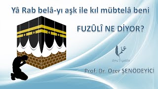 Yâ Rab Belâ-yı Aşk ile Kıl Mübtelâ Beni (FUZÛLÎ NE DİYOR?) Prof. Dr. Özer ŞENÖDEYİCİ Resimi