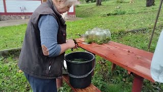Simple Ukrainian Life: Pickling Cucumbers in a Carpathian Village 🍲 | Traditional Winter Food Prep