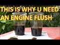 How to FLUSH engine OIL (with LIQUI MOLY ENGINE FLUSH)