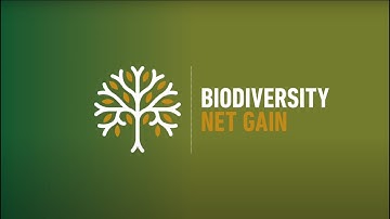 Biodiversity Net Gain: What you need to know