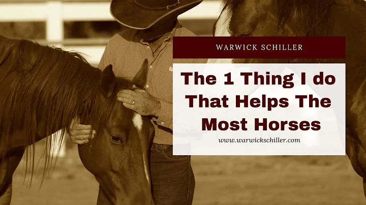 The one thing I do that helps the most horses