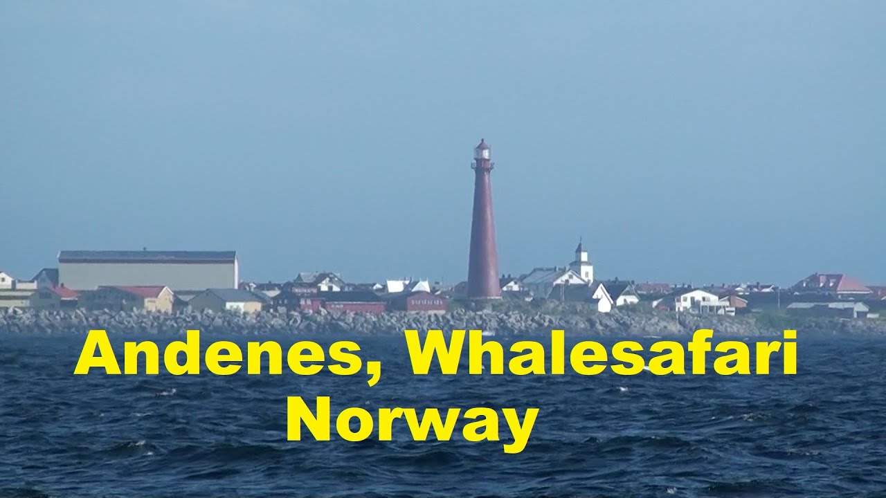 Andenes, Walvis Excursie (Whalesafari) - Noorwegen (Norway)