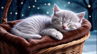 Ad-Free Lullaby With Cute Creamy Gray Kitten