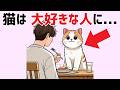 【猫の愛情表現10選】猫が大好きな人に見せる可愛い行動・しぐさ（前編） #雑学 #猫 #ねこ