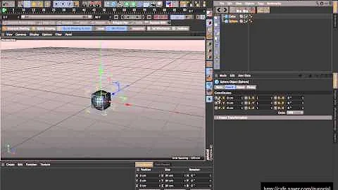 C4D - Animation Track Copy & Paste