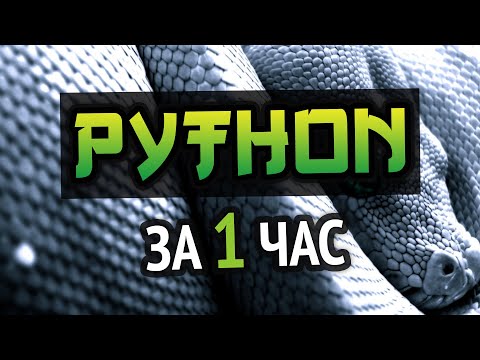 Учим Python за 1 час! #ОтПрофессионала | HD Remake