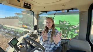 Details Soybeans, sell now or will they skyrocket later News