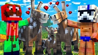 LOS BURROS TIENEN UN HIJO!!! - Minecraft con NOOBS #11