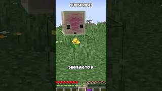 NEW MINECRAFT SULFUR CUBE MOB! #minecraft #minecraftupdate #minecraftlive