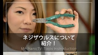 ネジザウルスを紹介！【メカニックTV】