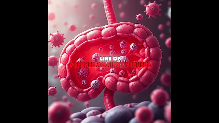 Your Immune System Lives... Where?! 🦠 #GutHealth #shorts