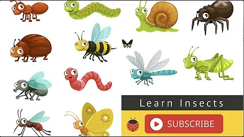 Insects For Kids Learning – Insect Names and Sounds for Children, Toddlers, Kindergarten & Preschool