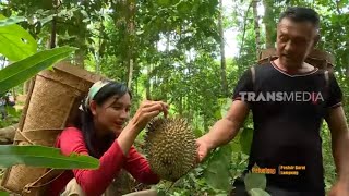 Vebby Hananto Panen Durian | JEJAK PETUALANG (23/11/21)