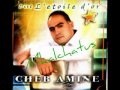 Cheb amine 2013