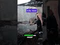 Soldados Israelenses Ignoram Ataque a Vilarejo Palestino #shorts