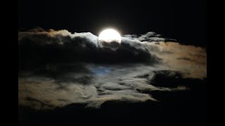 Moondance