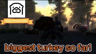 We got so close on the turkey grinde!!!(the hunter classic)