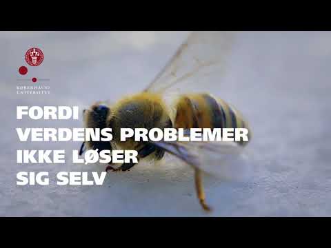 Video: Det Nuværende Niveau Af Biodiversitet Adskiller Sig Ikke Meget Fra Det, Der Blev Observeret I De Sidste 60 Ml. - Alternativ Visning