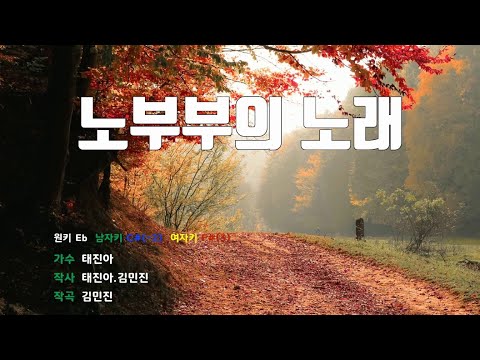[은성 반주기] 노부부의노래 - 태진아