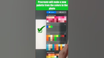 Best Way to Make Color Palettes in Procreate #shorts #procreatetutorial #procreatetips #procreate