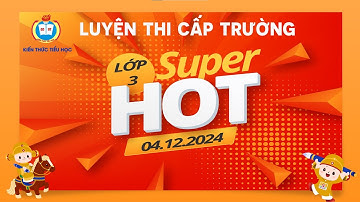 ĐỀ ÔN ĐẶC BIỆT (3) LỚP 3 - VÒNG CẤP TRƯỜNG - TRẠNG NGUYÊN TIẾNG VIỆT (2024 - 2025)