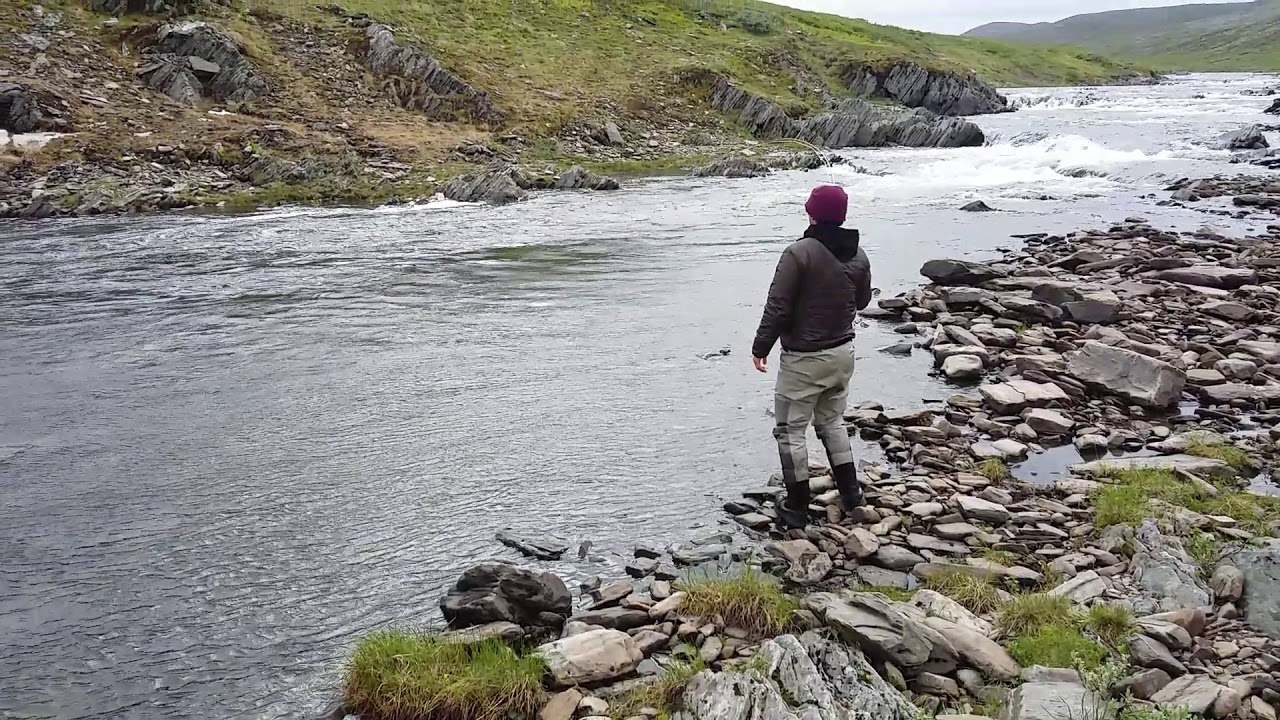 Salmon fly fishing in Norway 2017 YouTube