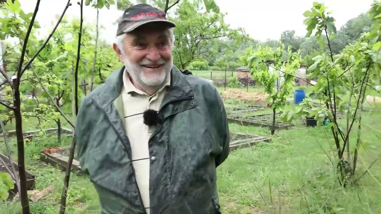 Švargla ili špargla? Evo zašto je baš šparglu neophodno uvesti u ishranu!