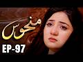 Manhoos – Episode 97 | Cursed Love, Dark Secrets | New Pakistani Drama