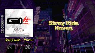 │社畜中字│Stray Kids - Haven│