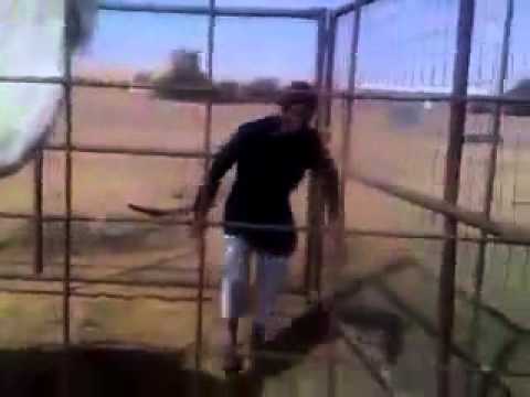 هههههه مهايطي